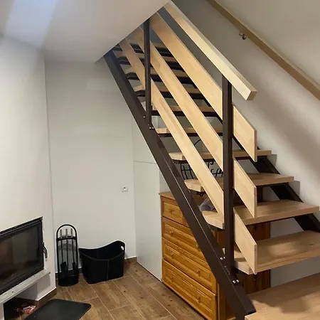 Tisa Apartment *